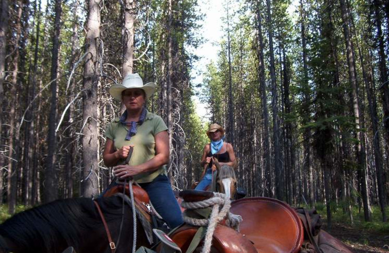 Horseback riding at Silver Spur Outfitters.