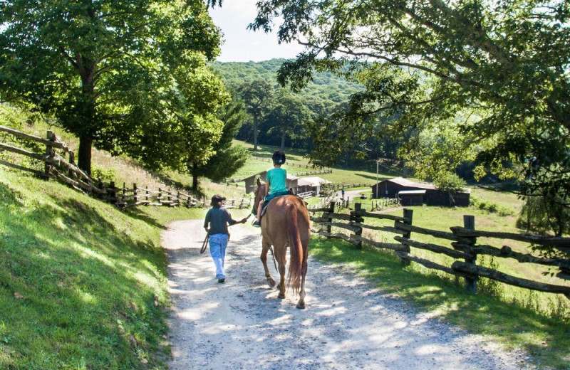 Horseback riding at Cataloochee Ranch.