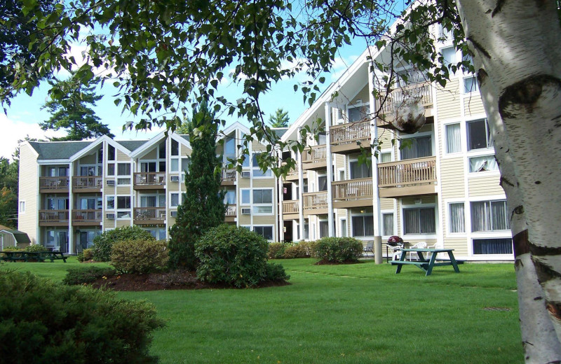 Exterior view of Misty Harbor & Barefoot Beach Resort.