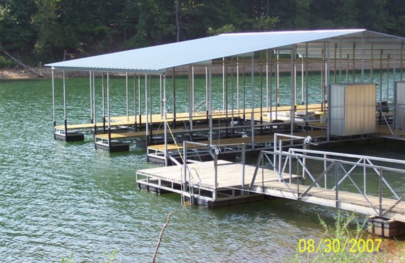 Marina at Ursa Minor Lodge.