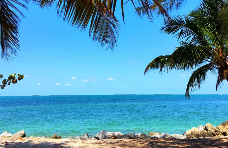 Beach at Preferred Properties Key West.