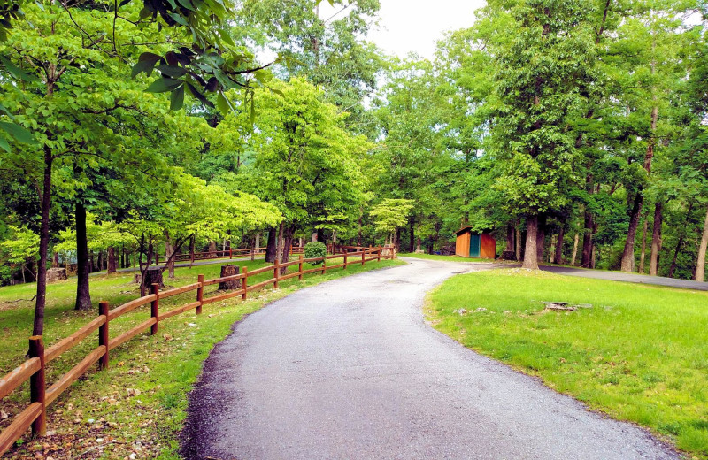 Grounds at Lake Forest Luxury Log Cabins.