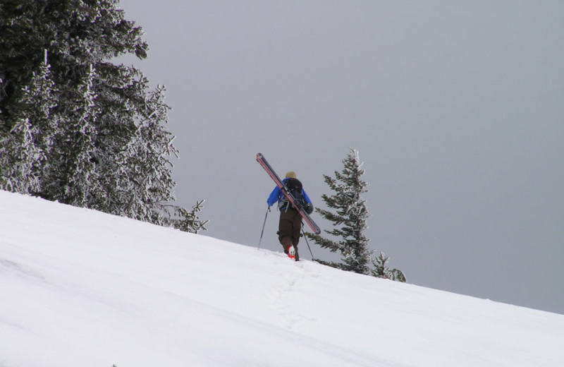 Ski near Olympic Foothills Lodge.