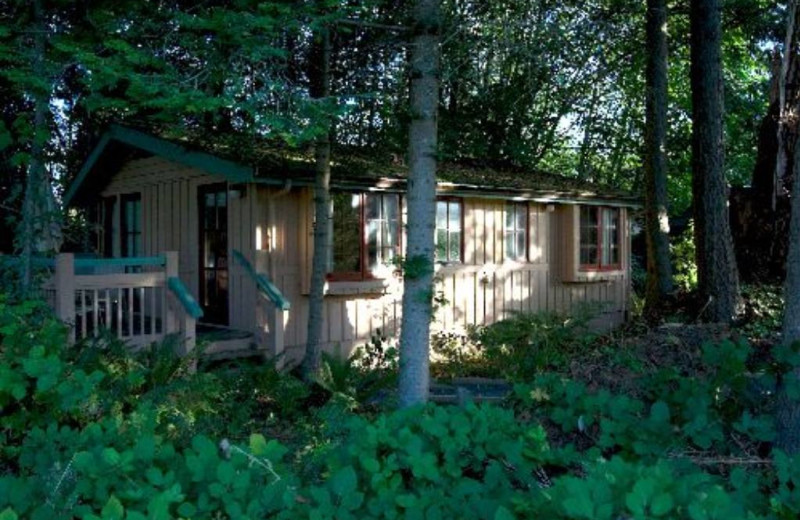 Cabin exterior at Painter's Lodge.