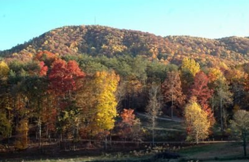 Mountain View at JP Ridgeland Cabin Rentals
