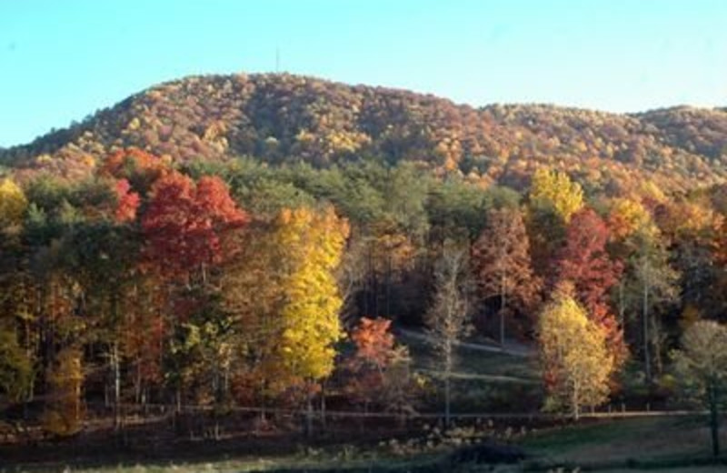 Mountain View at JP Ridgeland Cabin Rentals
