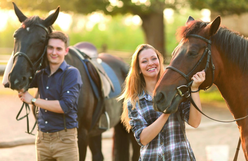 Horseback riding near Brook Farm Inn.