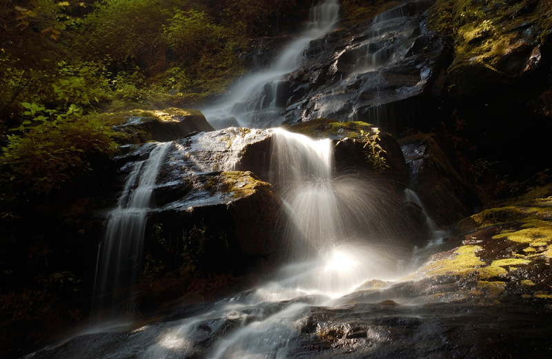 Waterfall at Fernwood Resort.