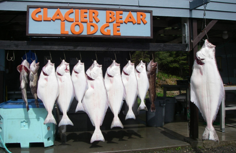 Fishing at Glacier Bear Lodge.