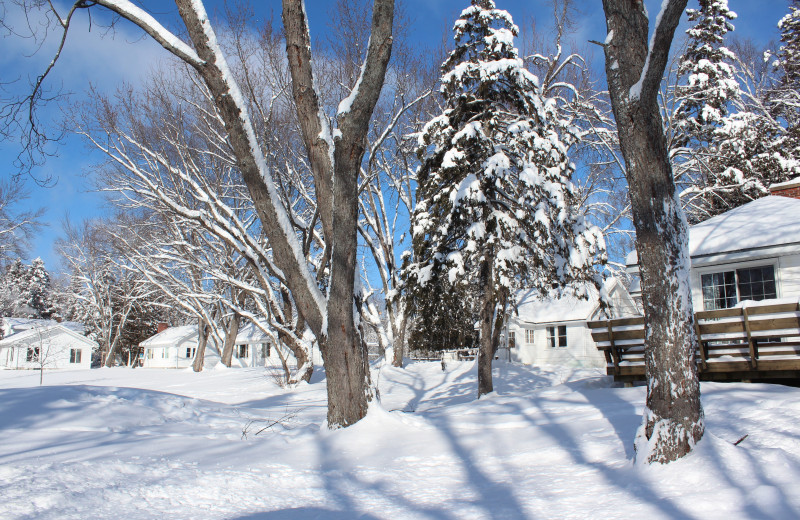 Winter at Tally Ho Inn.