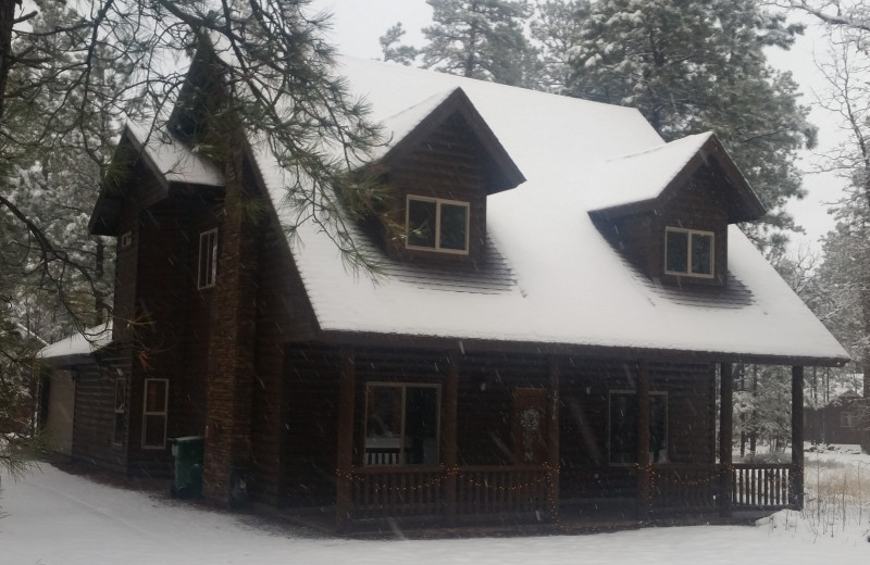 Exterior view of Tall Pines Getaway