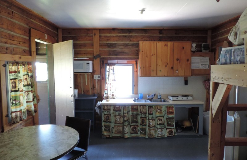 Cabin kitchen at Owls Nest Lodge.