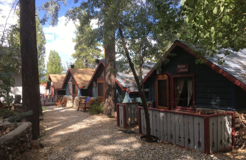 Exterior view of Castle Wood Cottages.