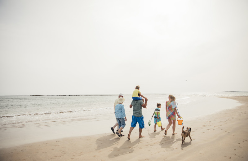 Pets welcome at Starkey Properties.