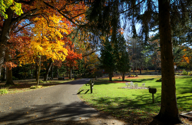 Grounds at Birchcliff Resort.