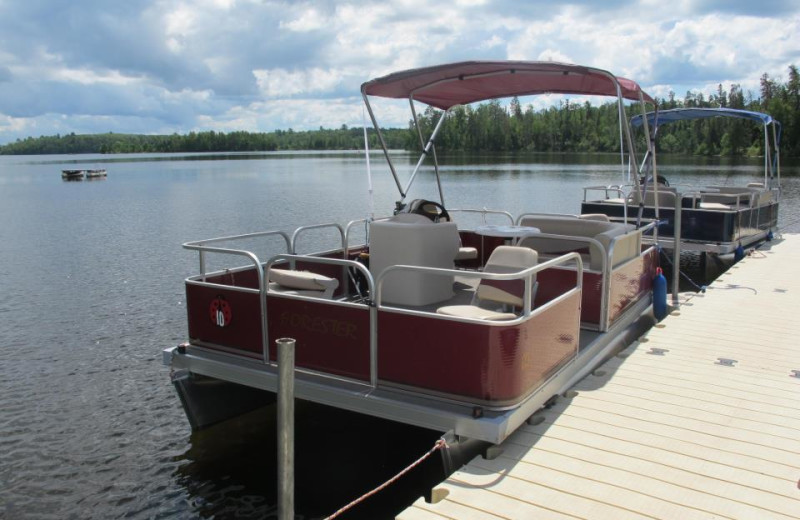 Pontoon Rentals at Lady Bug Lodge