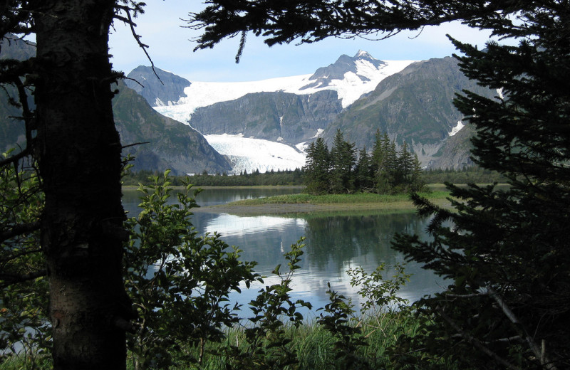 View from Kenai Fjords Glacier Lodge.