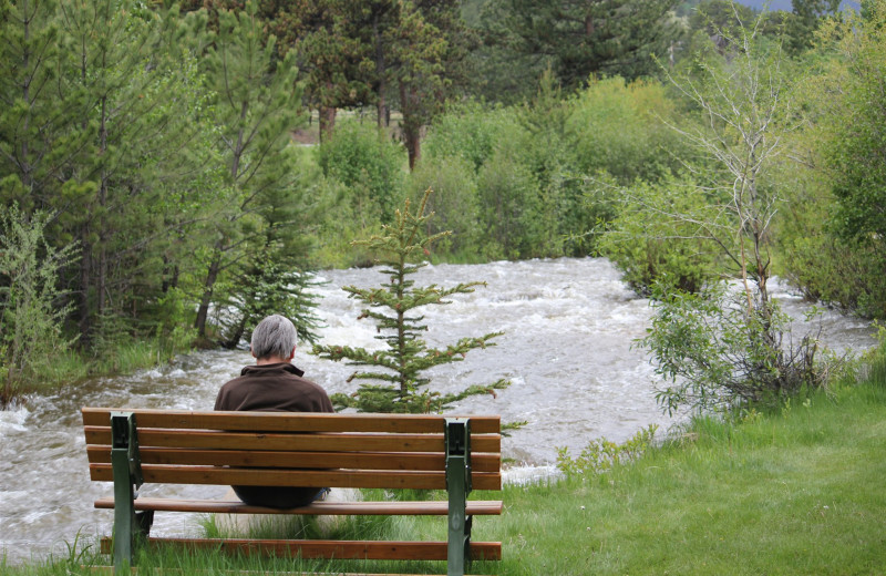 River view at Workshire Lodge.