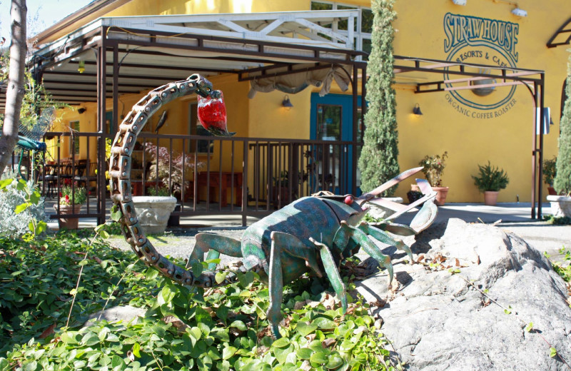 Garden at Strawhouse Resorts.