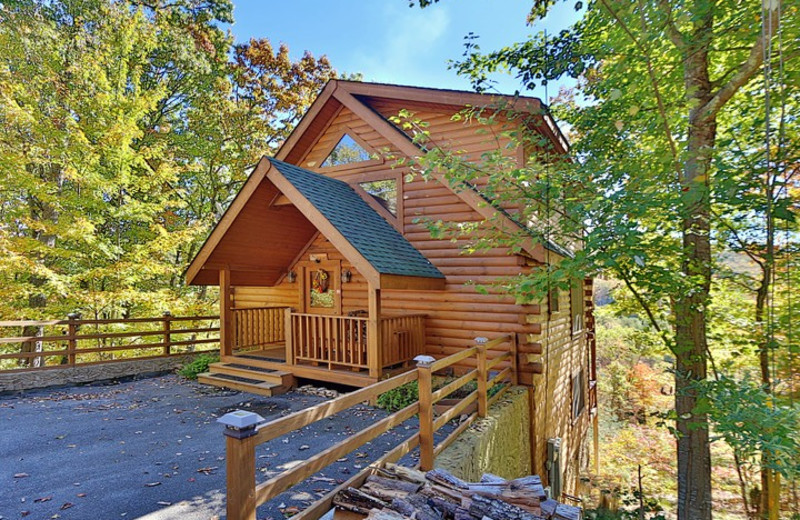 Wild Willow cabin at Little Valley Mountain Resort