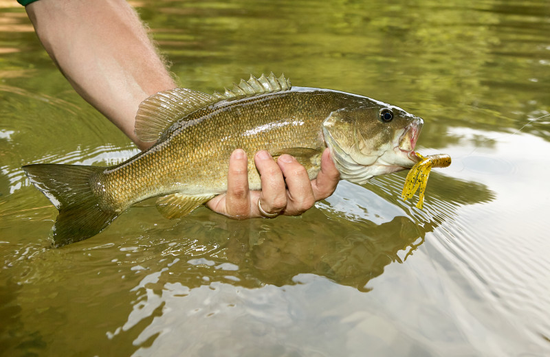 Fishing near Inn at Monticello.