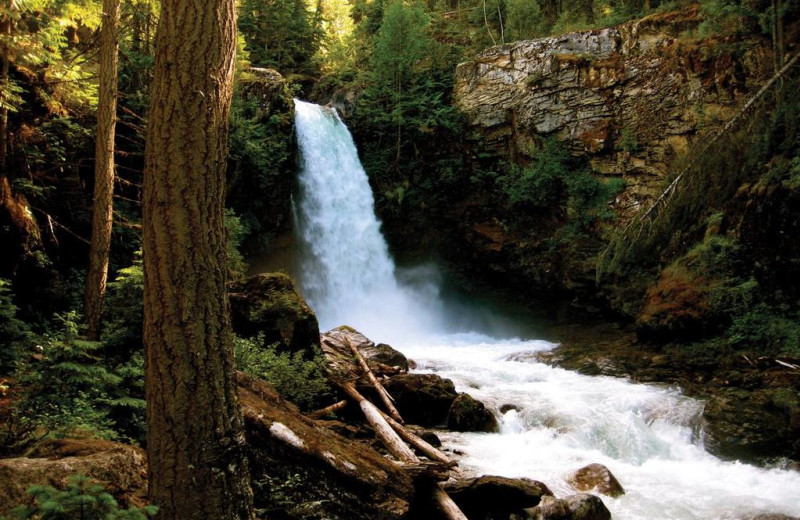 Waterfall at Glacier House Resort.