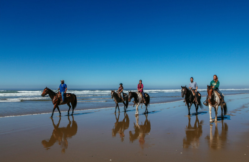 Horseback riding on the beach at Driftwood Shores Resort and Conference Center.