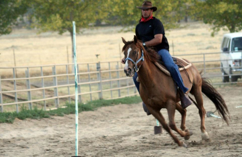 Horseback riding at Wonder Valley Ranch Resort.