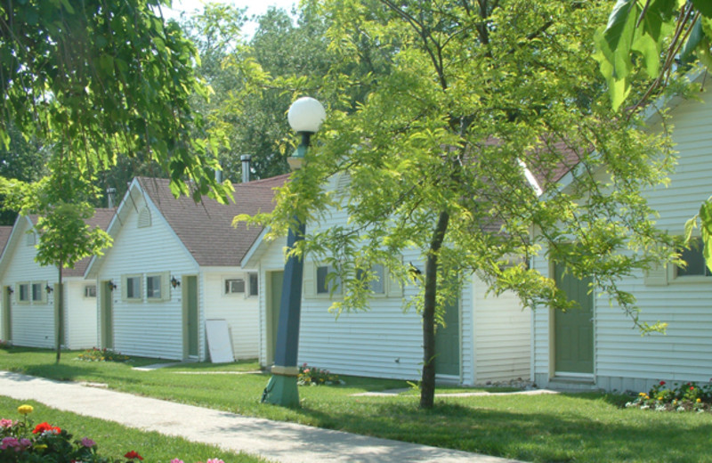 Cabins at Fern Resort.