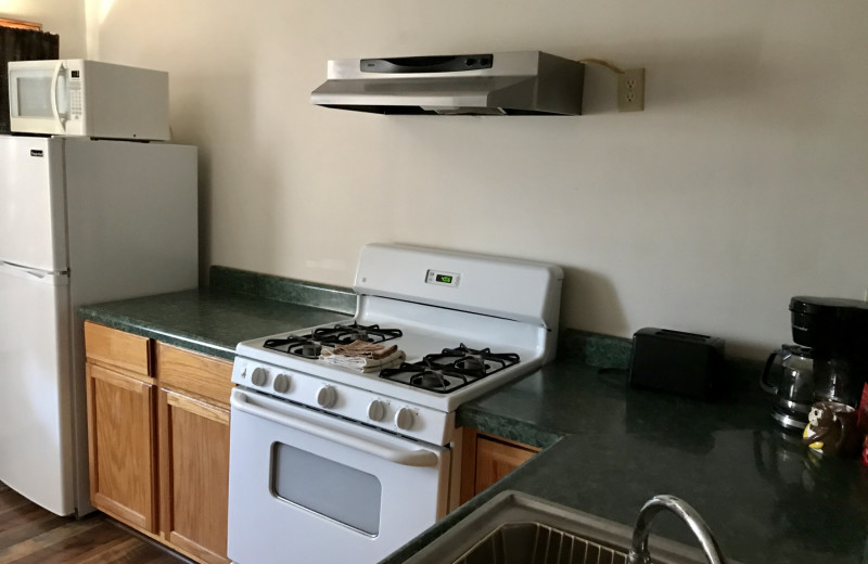 Cabin kitchen at The Exotic Resort Zoo.