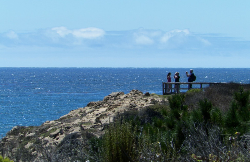 Scenic views at Sea Otter Inn.