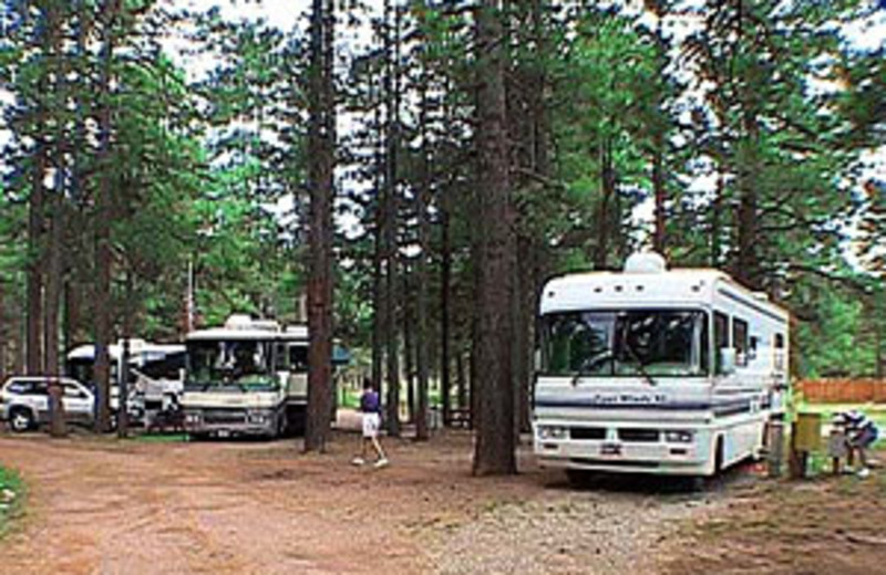 RV Park at Vallecito Resort