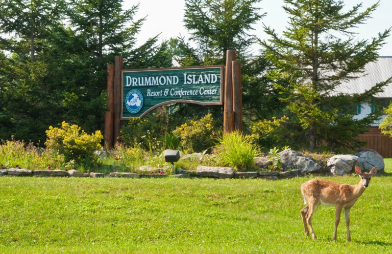 Entrance at Drummond Island Resort.