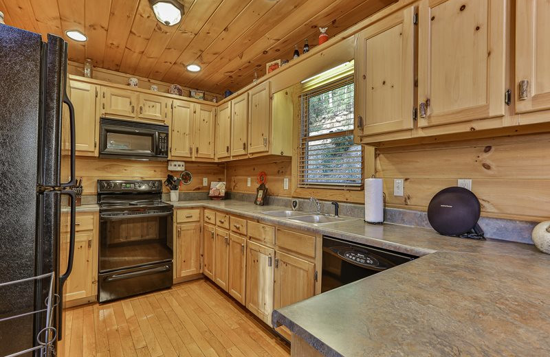 Rental kitchen at Mountain Oasis Cabin Rentals.