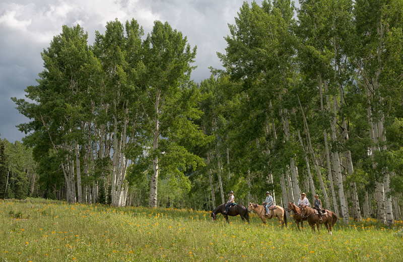 Horseback riding at Wild Skies Cabin Rentals.