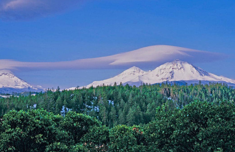 A white cloud hovers over a snowcapped mountain in the distance.