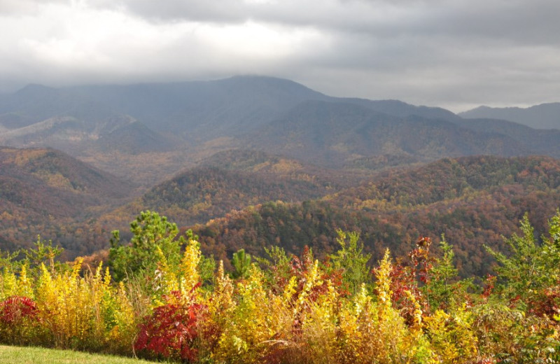 Mountain view at Stony Brook Chalets.