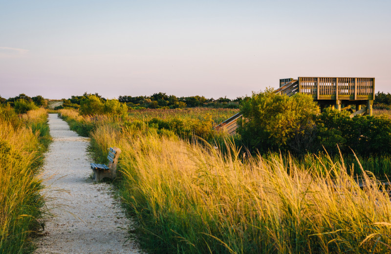 South Cape May Meadows near Jersey Cape Realty.