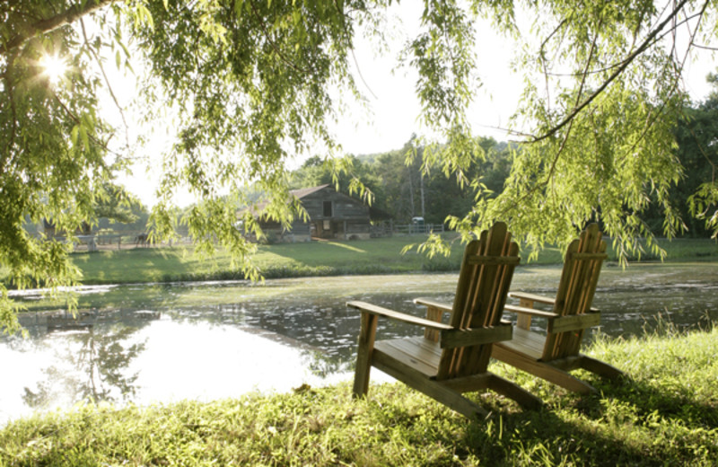 Chairs By Lake at Barnsley Gardens Resort 