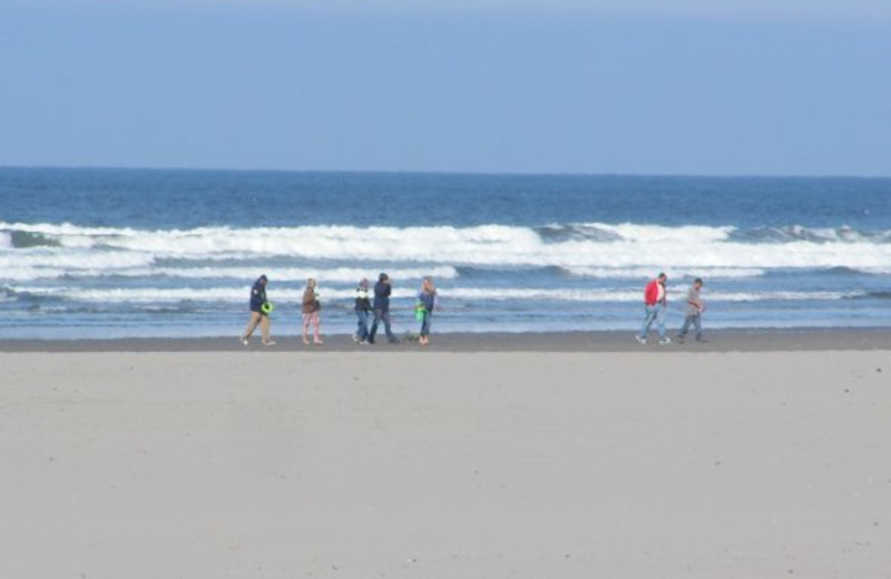 Walk along the beach at Weiss' Paradise Suites.