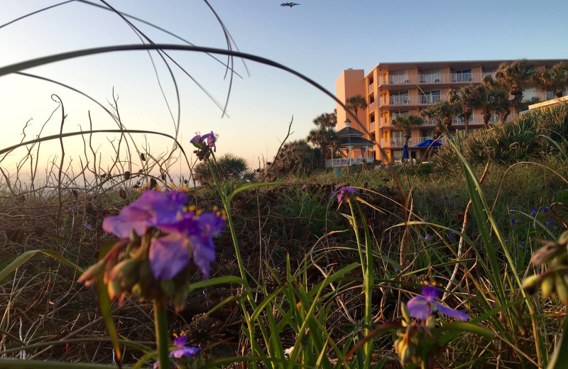 Exterior view of Coral Sands Oceanfront Resort.