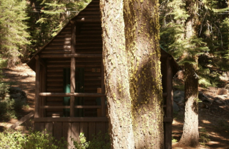 Bucks Lake Lodge (Quincy, CA) Resort Reviews