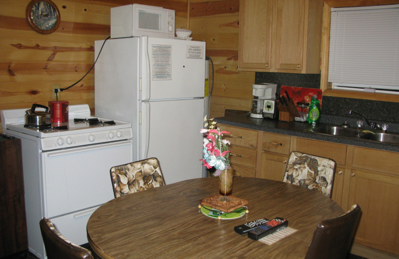 Cabin kitchen at Harris Hill Resort.