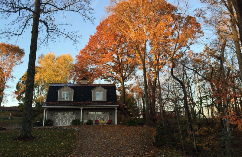 Fall near Chateau Lake Logan.