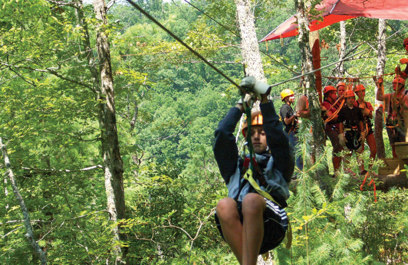 Zip line near Folkestone Inn B&B.