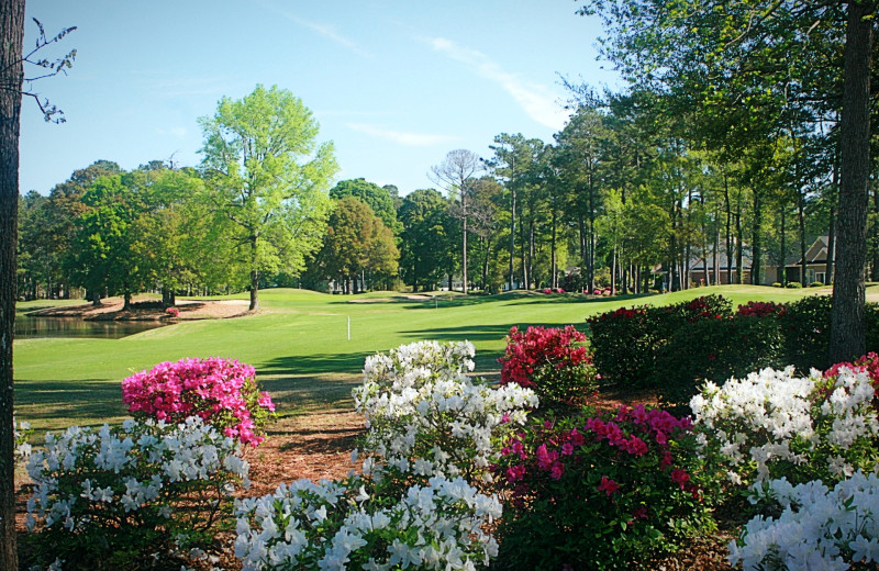 Golf at Brunswick Plantation & Golf Resort.