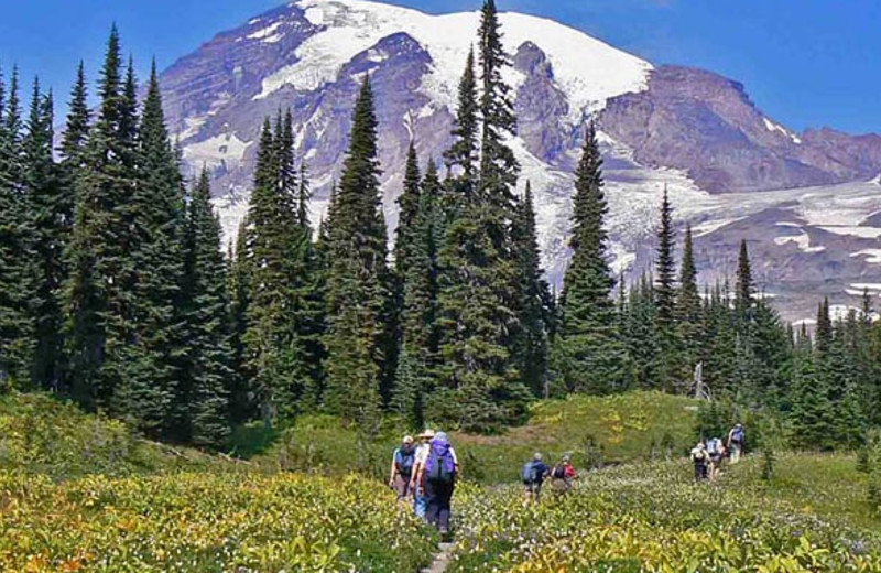 Scenic Hikes at Stone Creek Lodge