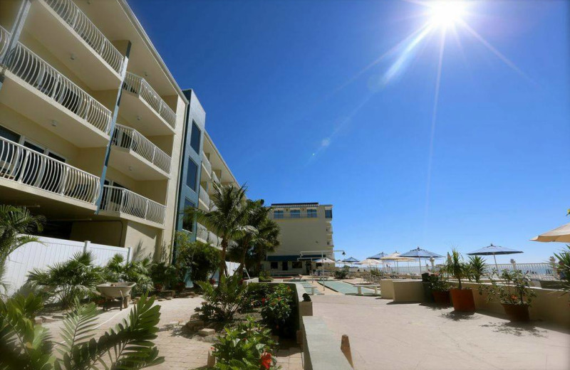 Exterior view of Shoreline Island Resort.