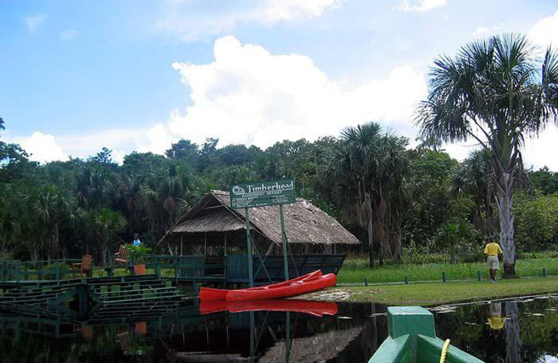 Exterior view of Timberhead Rain Forest Resort.