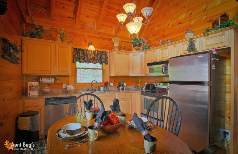 Aunt Bug S Cabin Rentals Llc Pigeon Forge Tn Resort Reviews